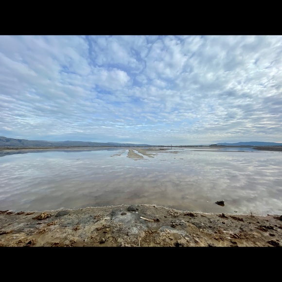 Meet May - Picture 1 of 1